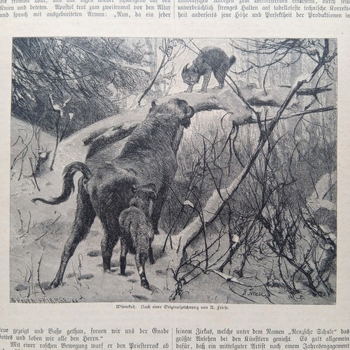 1885 holzstich wood engraving - 1885,