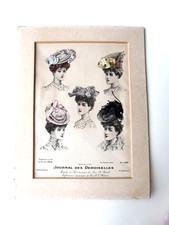 Wunderschönes Blatt aus