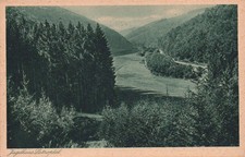 AK Jagdhaus Latroptal Gasthof und Pension Wiese Schmallenberg (Nr. 1091)