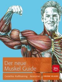 Der neue muskel guide - muskel,