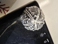 Seeigel Galerites Steinkern