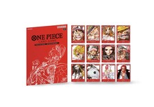 One Piece TCG Premium Card