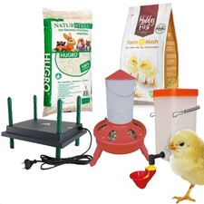 Küken Starter-Set -