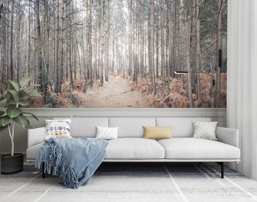 Wald bäume c623 - c623, tapete