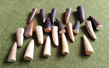 Echt Hirschhorn 20 Stück schlanke - Geweih Spitzen 35 mm -Schnitt : ca. 10 mm