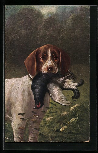 Künstler august müller - august,
