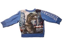 Süßer Dino Pullover von H&M