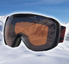 F2 Skibrille Allround Alpinski