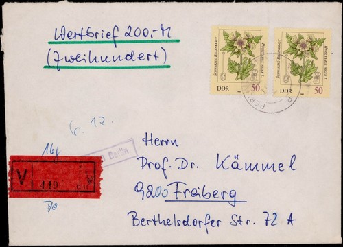 Ddr bilsenkraut - pf.,