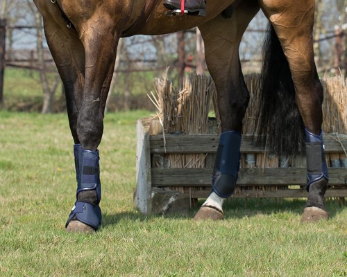 Qhp event cross country - country, front