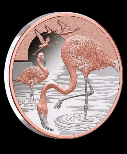 Flamingo beauty grace - -,