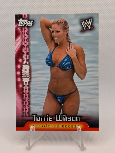 Torrie wilson 2006 wwe insider - 2006,