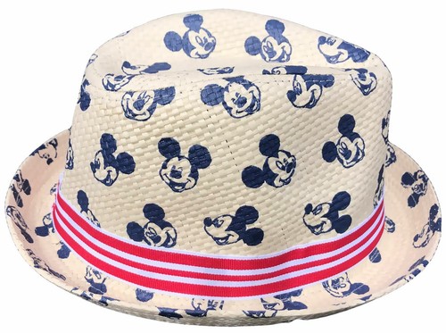 Mickey maus disney - maus, sommerhut