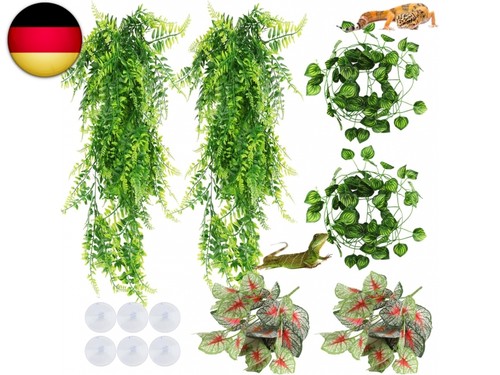 Hängepflanze terrarium - hängepflanze,
