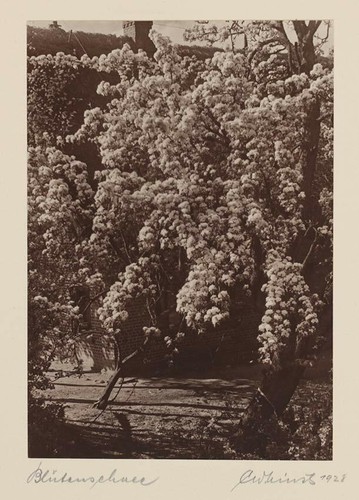 Original vintage 1928 - original,