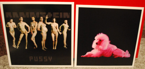 Rammstein pussy vinyl - , "pussy"