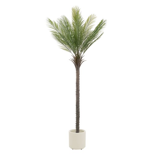 Künstlicher palmenbaum - künstlicher,