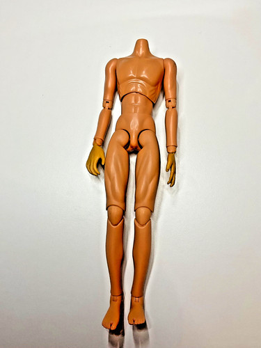 Did scale action figure - 1:6,