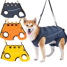 Hunde tragehilfe gehhilfe - hunde,
