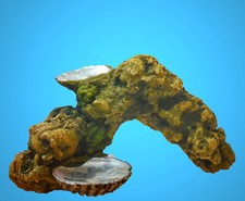 Aquarium Deko 🍀 KLEINER