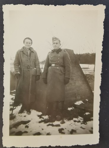 Original foto drachenzähne - foto,