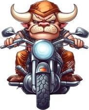 Bunter Stier auf Fahrrad