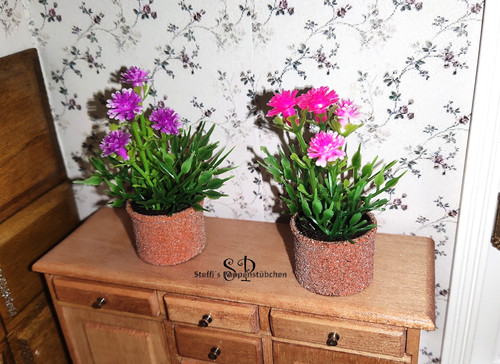 Blumentopf mit pflanze - mit,