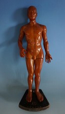 RS0521-055: Akupunktur Modell Mann Good Health Brand Japan mit Meridianen 