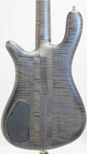 Warwick custom shop - shop, streamer