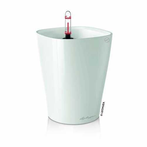 Lechuza mini deltini - lechuza, mini-deltini