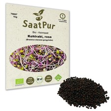 1kg BIO Keimsaat für Sprossen Kohlrabi Rosa Samen Keimsprossen Microgreens Vegan