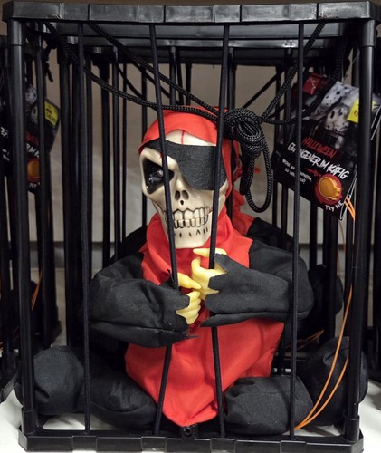 Halloween skelett pirat figur - skelett,