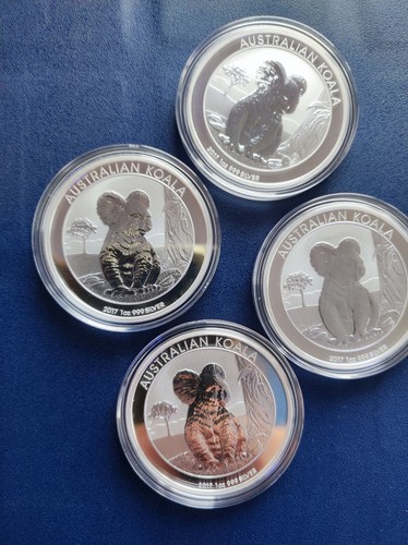 Koala 2017 australien - koala,