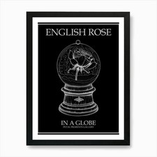 Englische rose globus - englische,