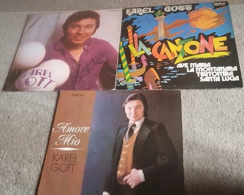 Vinyl karel gott - ,