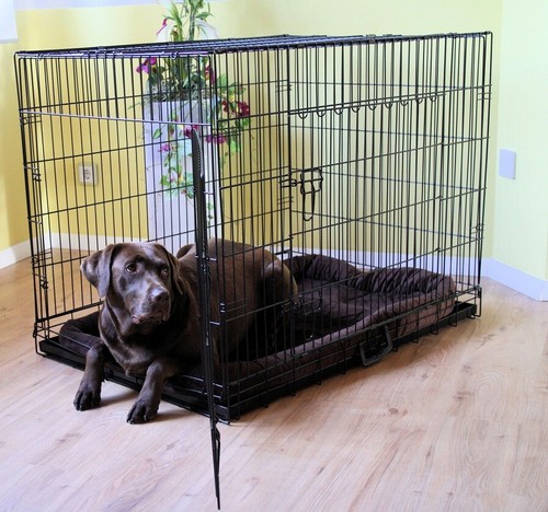 Mypets komplettset faltbare - mypets®,