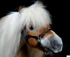 Lederhalfter KITTY Mini Shetty Minishetty Leder Halfter teil Rund Braun Fohlen