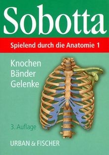 Spielend durch die - , anatomie