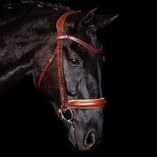 Bridlery Cognac Vollblut