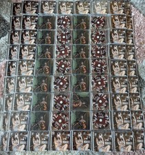 The Life of a Showgirl: It’s