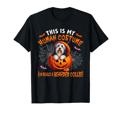 Bearded collie halloween - collie,