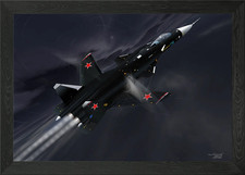 SU 47 Berkut Gerahmtes