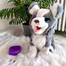 Hasbro FurReal Friends Schlaues Hündchen Ricky Spielzeug Kinder | Händler & TOP