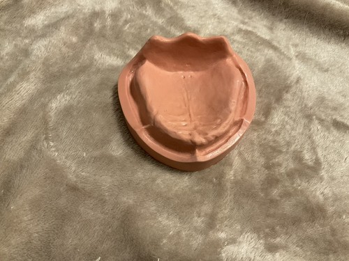 Frasaco unbezahntes modell - frasaco,
