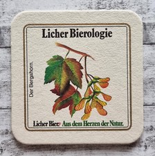 Licher Bierologie Bergahorn