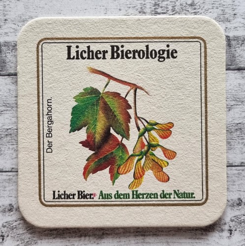 Licher bierologie bergahorn - licher,