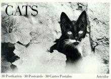 Cats postkarten 30 - -,