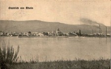 AK GRUSS AUS OESTRICH Winkel