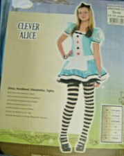 Teen 14-16 Jahre Gr.:170 Kostüm Clever Alice 1 Kleid+ Srmpfhosen usw.