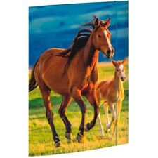 Zeichenmappe Sammelmappe